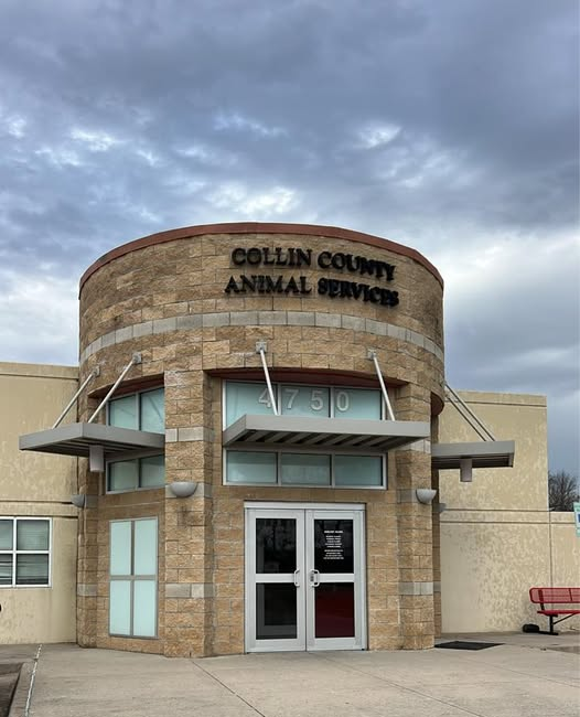 Collin County Animal Shelter where Paws in Stride donates meals