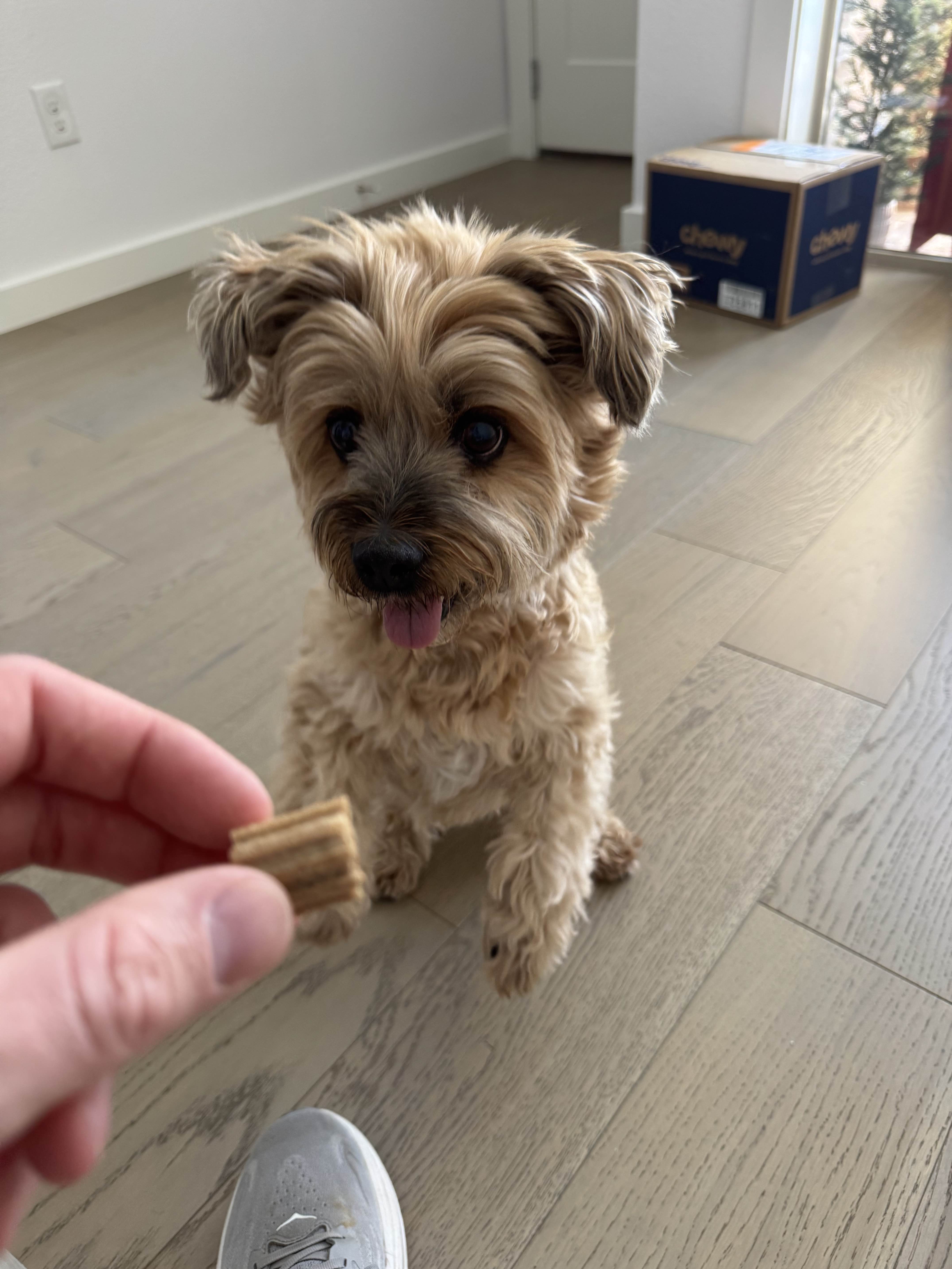 Drop in visits in Prosper Texas